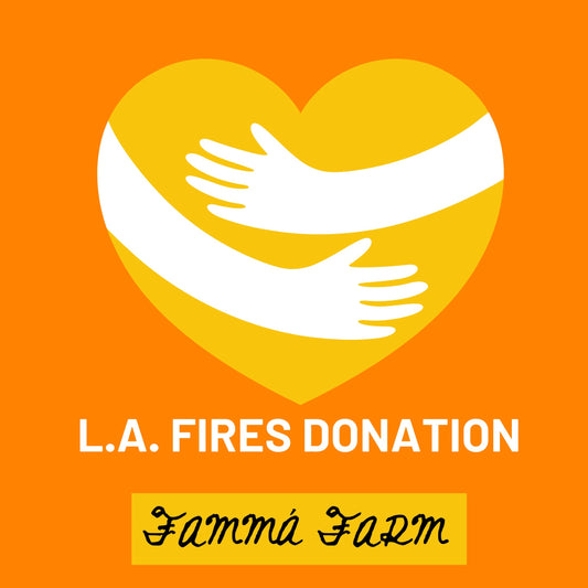 L.A. FIRES DONATION FOR MOMS!