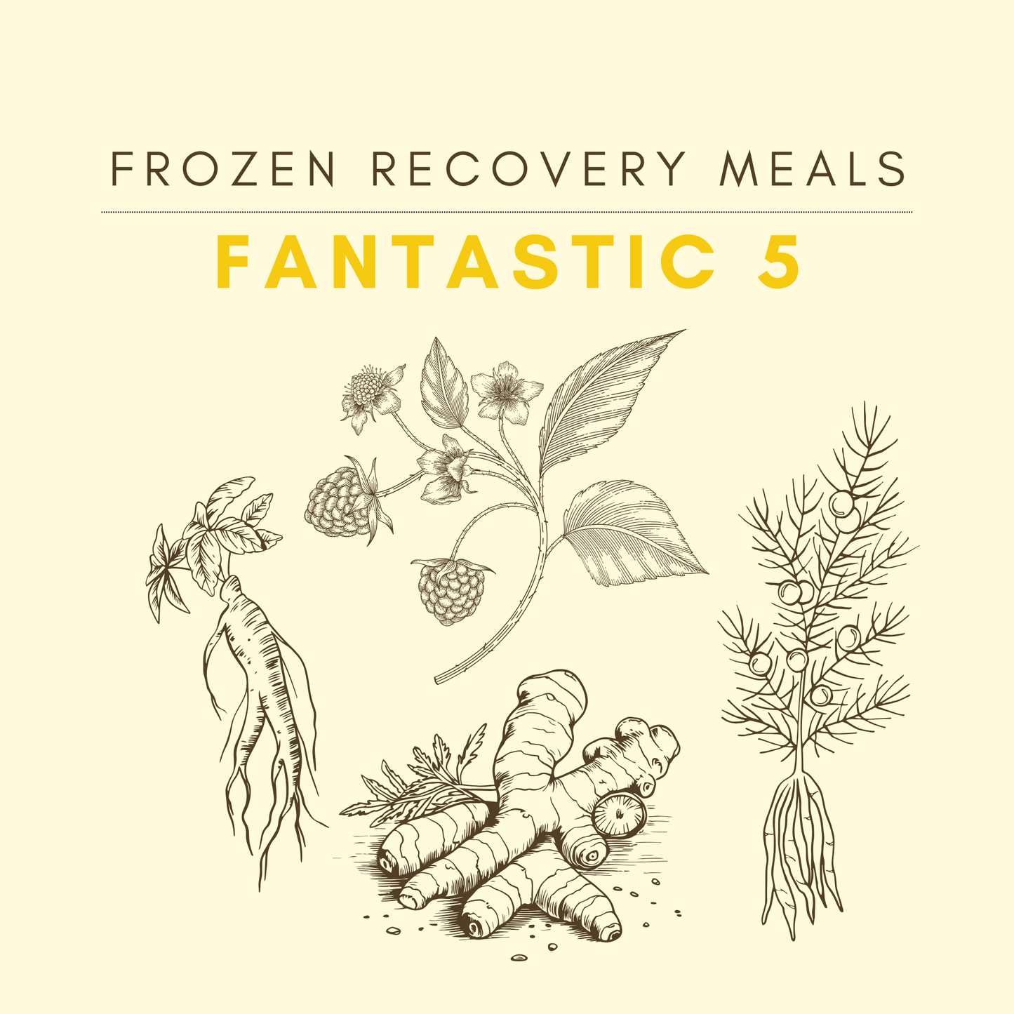 POSTPARTUM FANTASTIC 5!