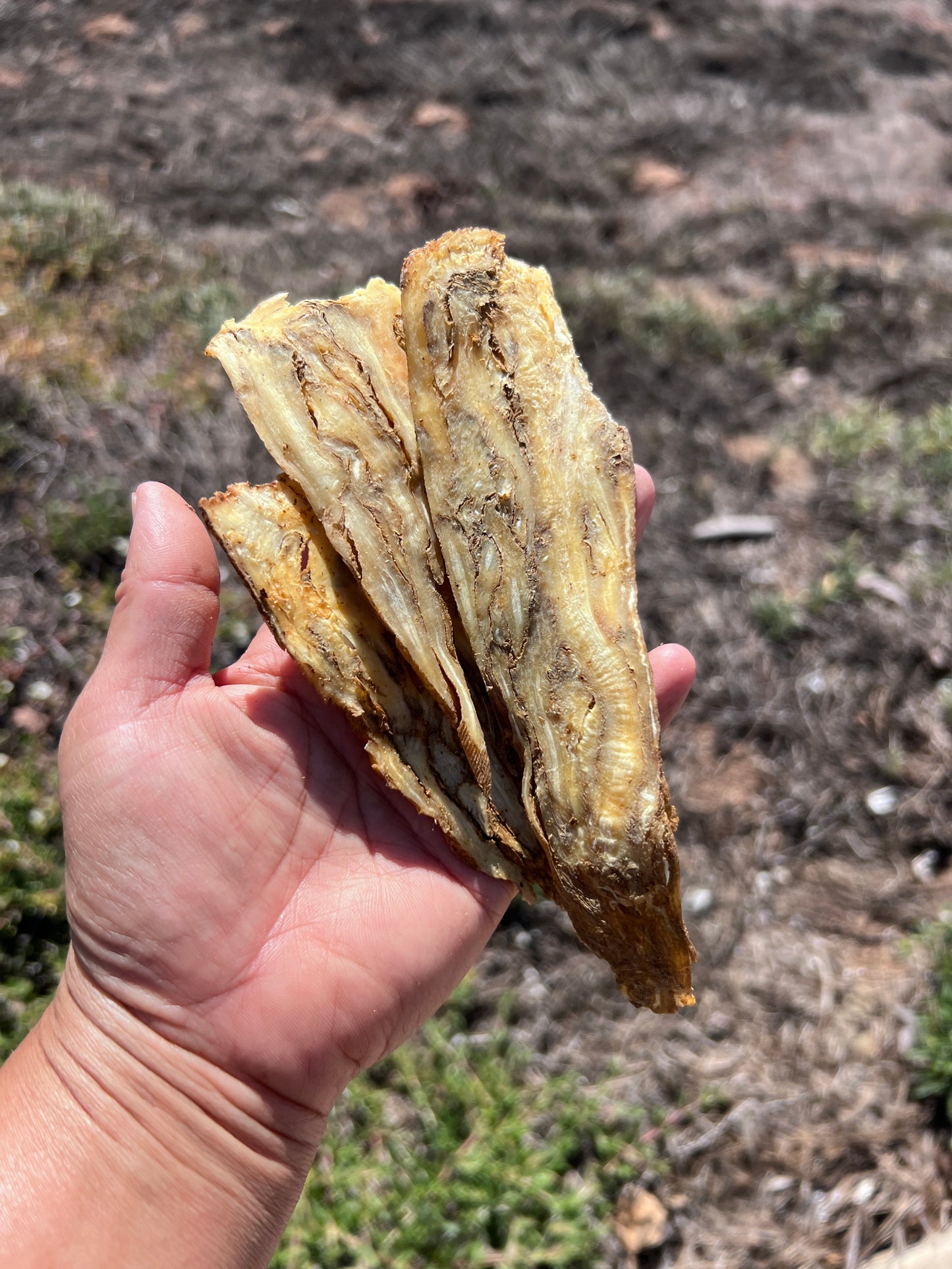 POSTPARTUM FANTASTIC 5!